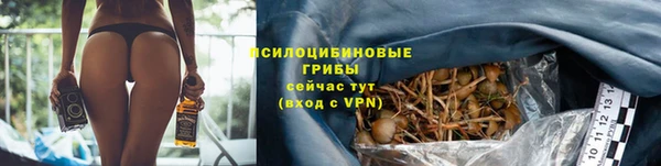 тгк Аркадак