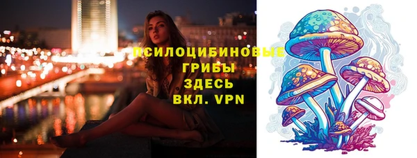 трава Армянск