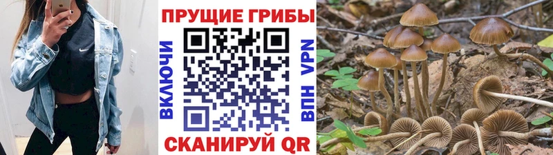 Галлюциногенные грибы мухоморы Купить где Тайшет